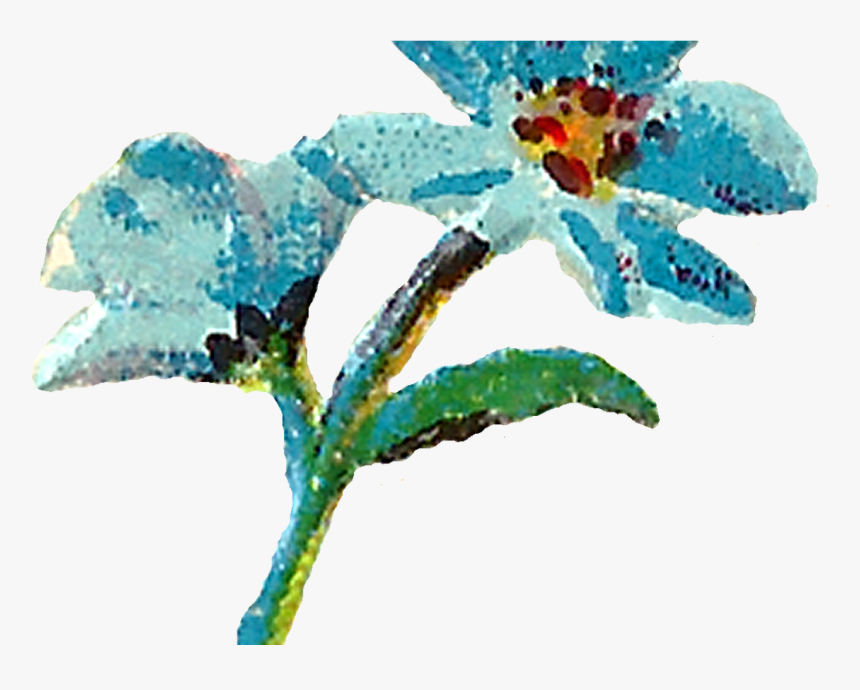 Teal Watercolor Flower Clipart Image - Pastel Water Color Flower, HD Png Download