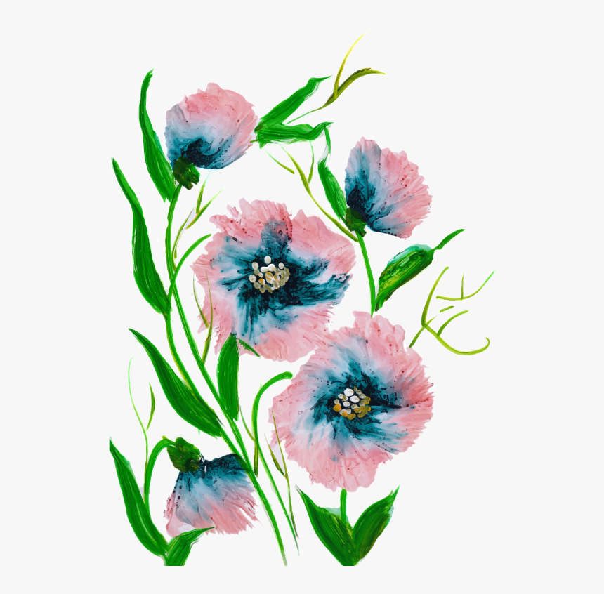 Common Peony, HD Png Download