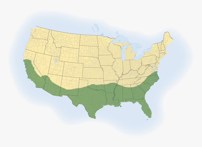 Palmetto Sod Map - Lawngrass, HD Png Download