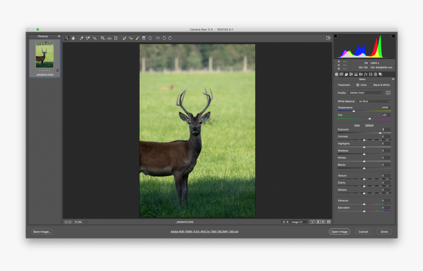 Picture - Reindeer, HD Png Download