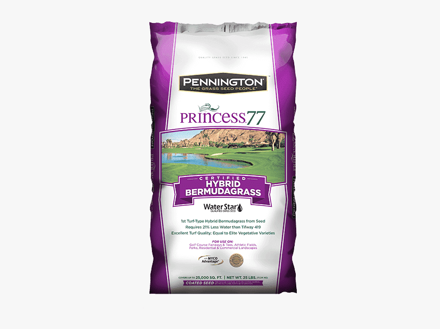 Princess 77 Bermuda Grass Seed, HD Png Download