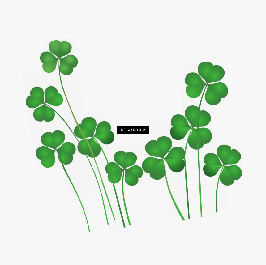 Saint Patrick S Day - Transparent St Patrick's Day Clipart, HD Png Download