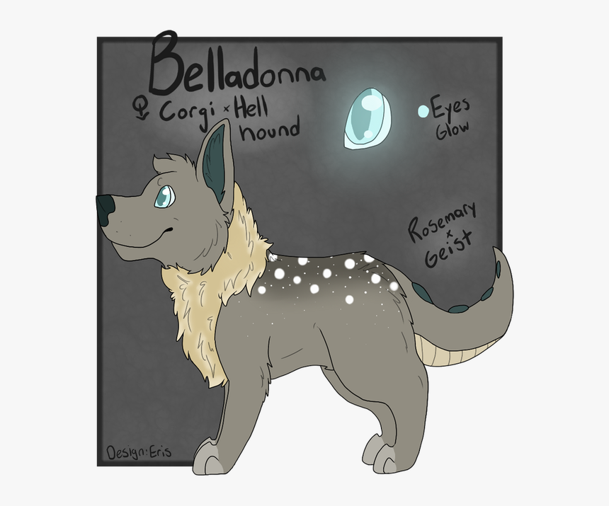 Picture - Companion Dog, HD Png Download