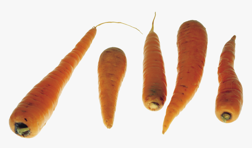 Download This High Resolution Carrot Png Picture - Carrot, Transparent Png