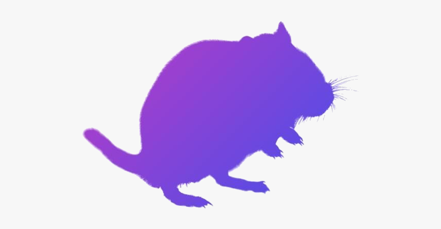 Gerbil Png Transparent Images - Illustration, Png Download