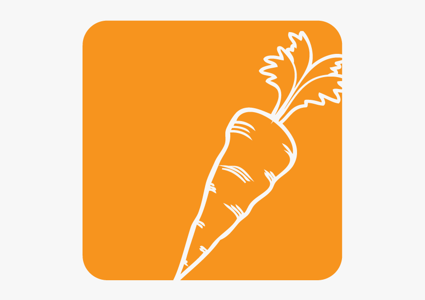 Carrot, HD Png Download