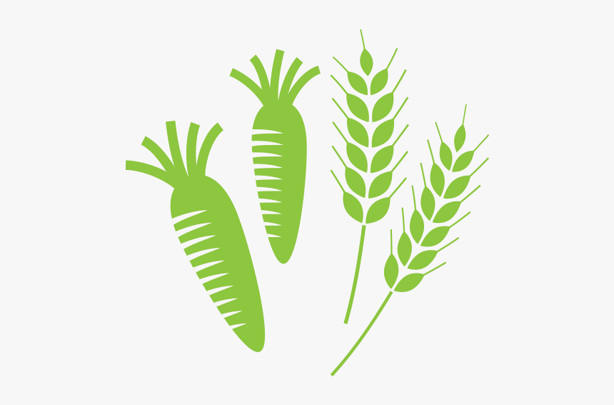 402,000 Ha Icon - Weight Loss Illustration Png, Transparent Png