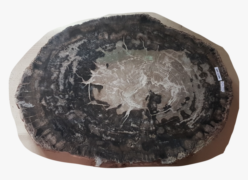 Wooden Table Top Png, Transparent Png