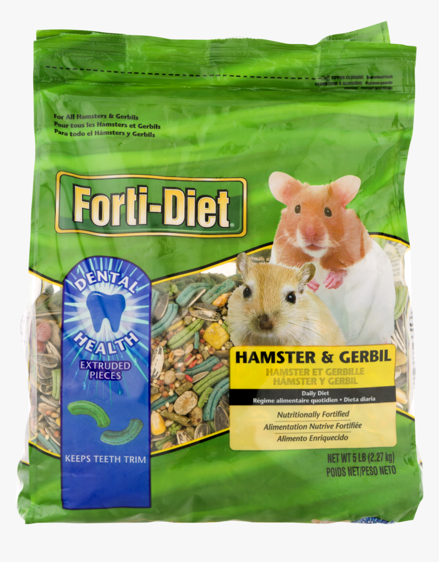 Rat, HD Png Download