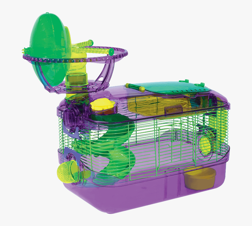 transparent hamster cage