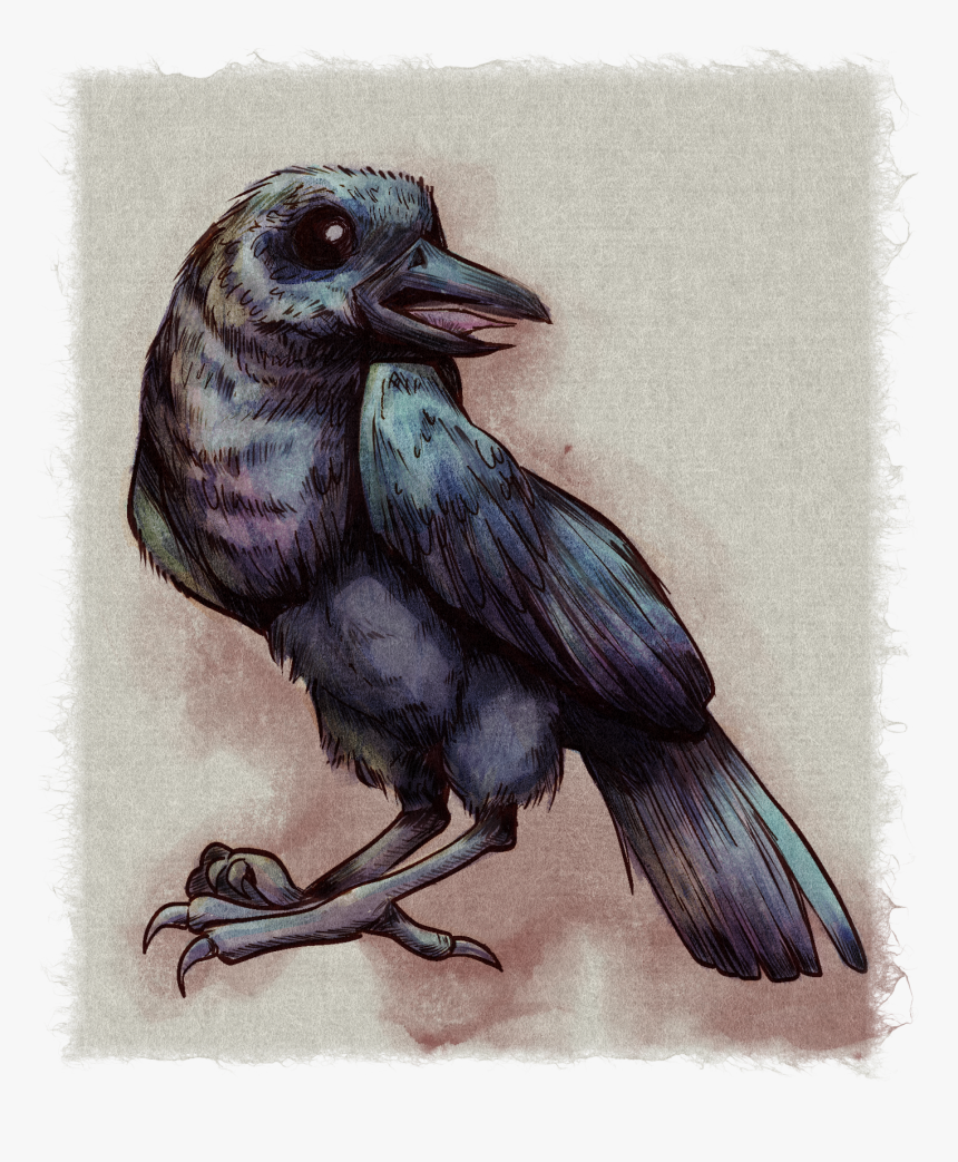 Transparent Water Color Heart Png - American Crow, Png Download