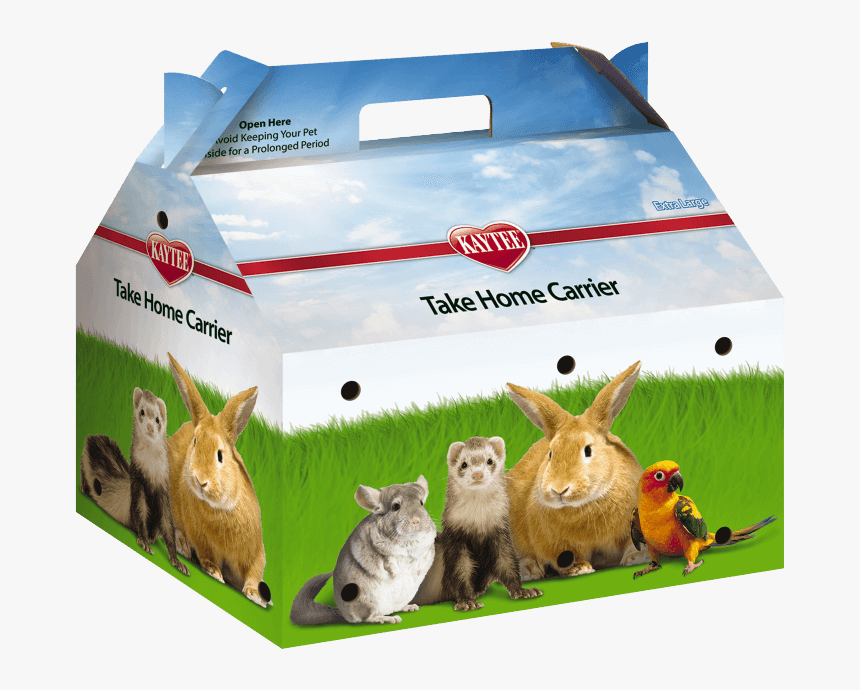 Rabbits And Hares, HD Png Download