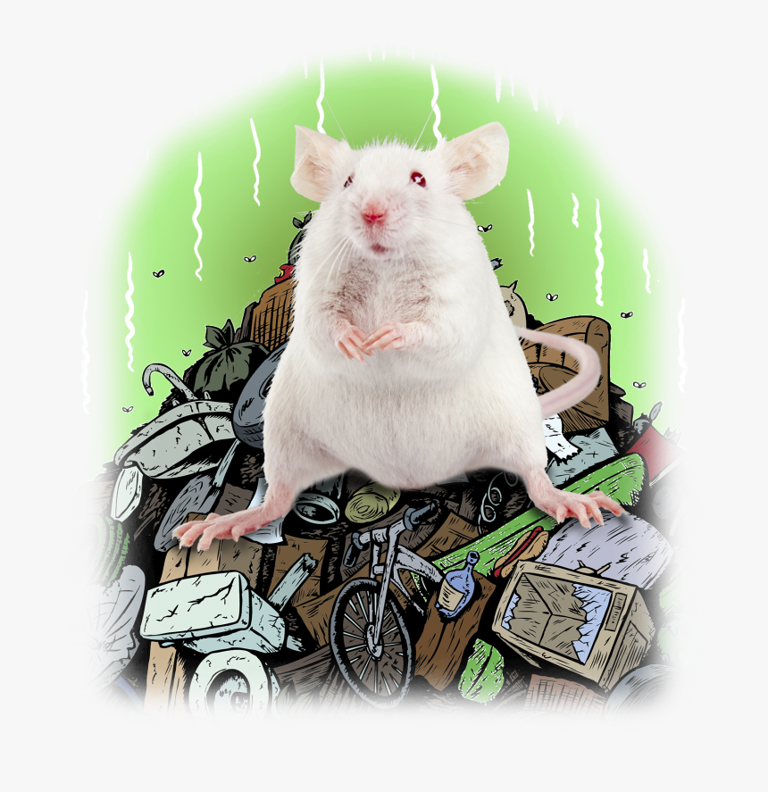 Dump Yard Cartoon, HD Png Download