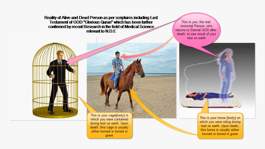 Transparent Dead Body Clipart - Reality Of Death In Islam, HD Png Download