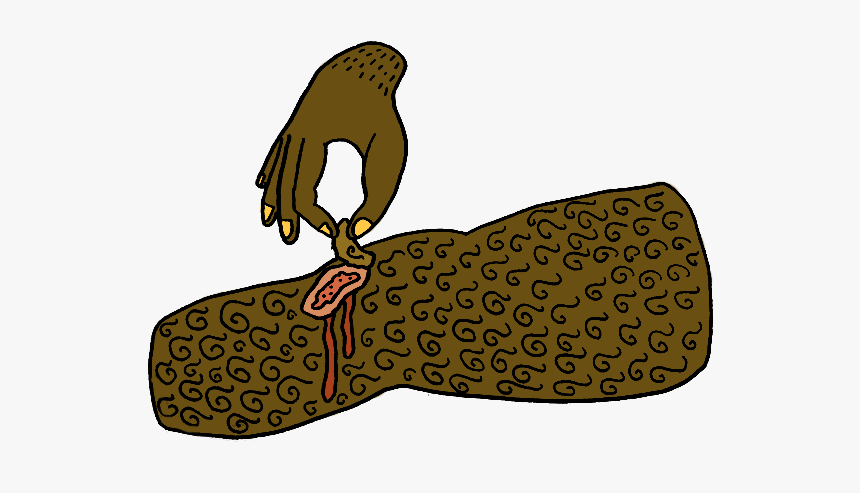 Illustration, HD Png Download