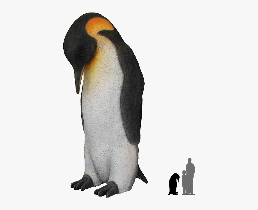 Emperor Penguin Clear Backgrounds, HD Png Download