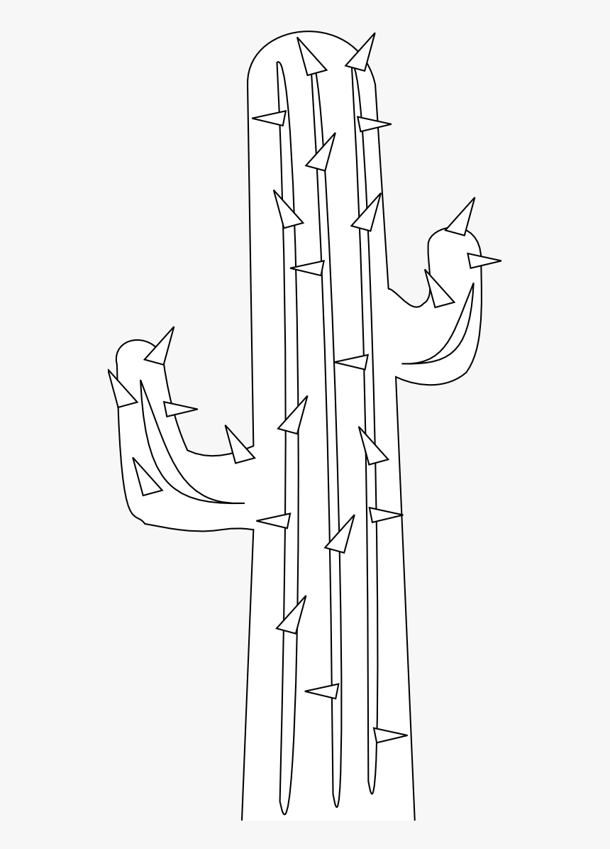 Cactus Clipart Person Pencil And In Color Cactus Clipart - White Cactus Transparent, HD Png Download