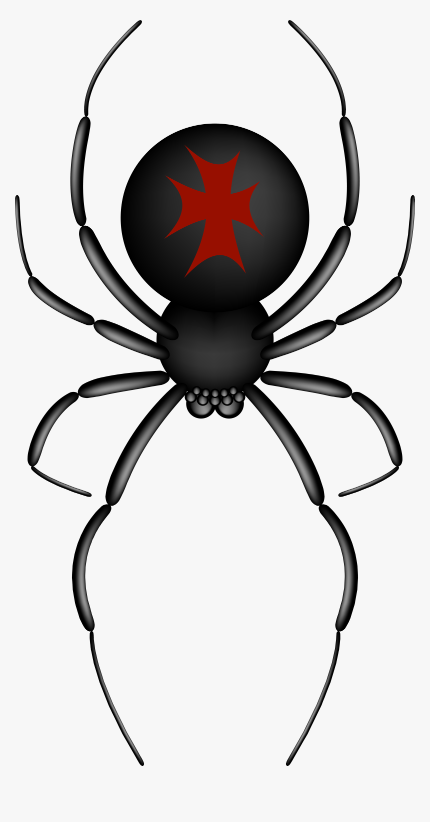 Crusader Spider Transparent Png Clip Art Image - Spider Transparent Background, Png Download