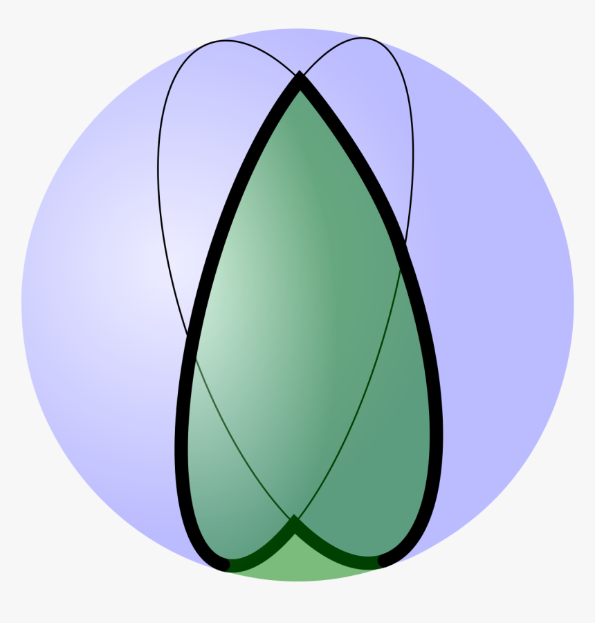 Spherical Lune, HD Png Download