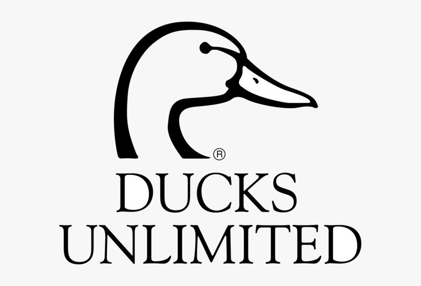 Ducks Unlimited Logo Svg, HD Png Download