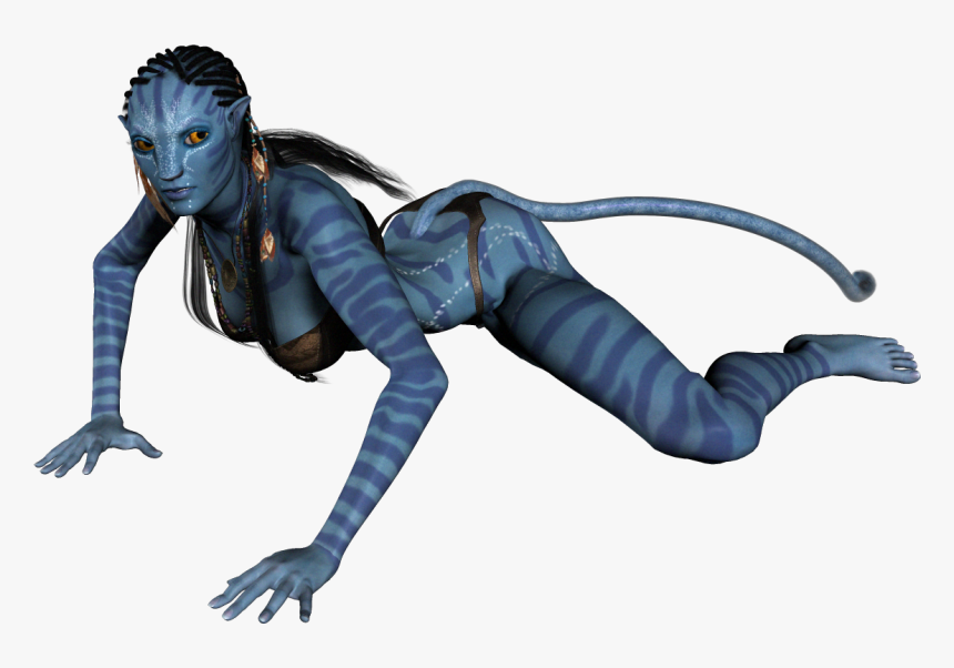 Spider .png, Transparent Png