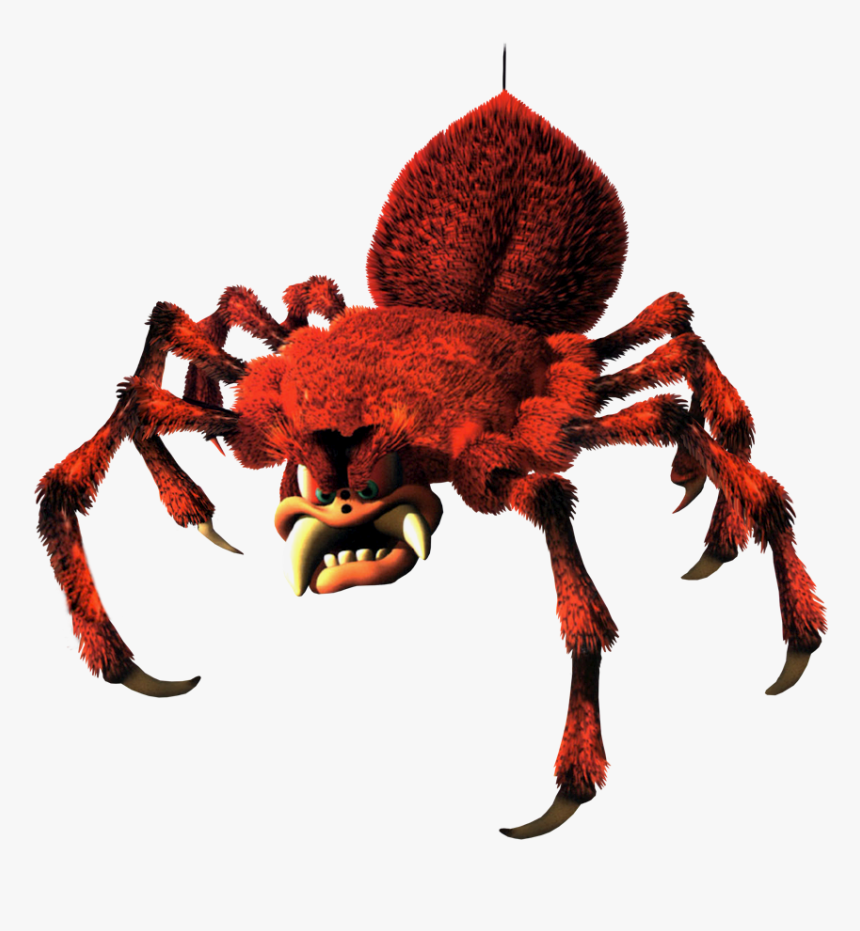 Donkey Kong Country 3 Arich, HD Png Download