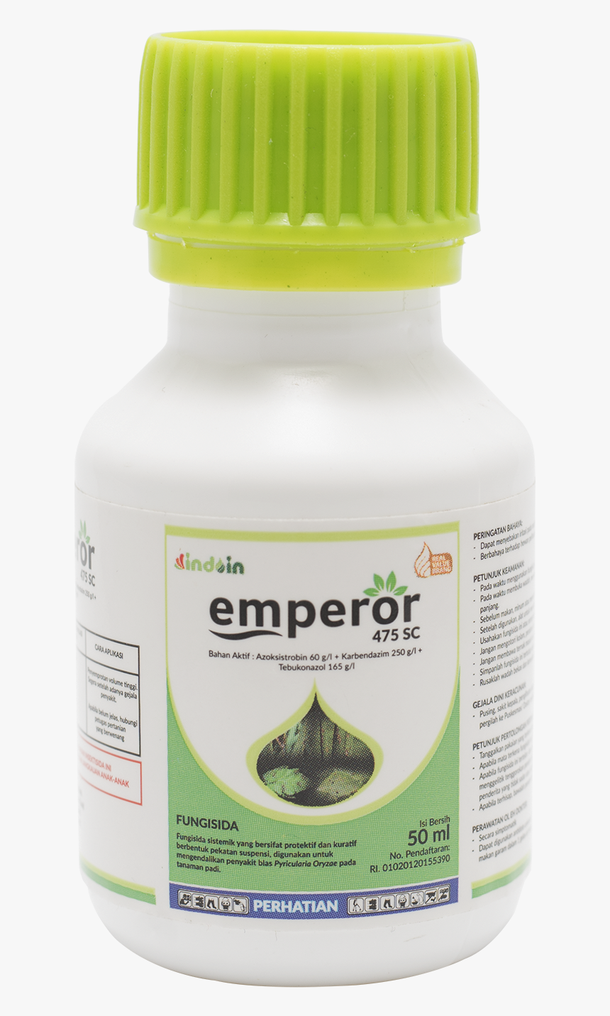 Reptile, HD Png Download