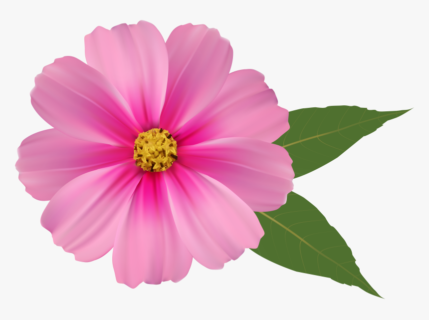 Png Bbcpersian Collections Free - Transparent Background Flower Png, Png Download