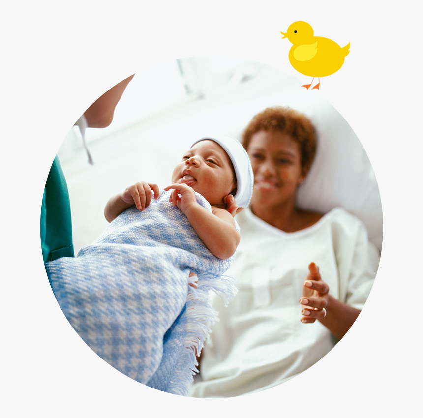 Nurse Giving Baby To Mother, HD Png Download