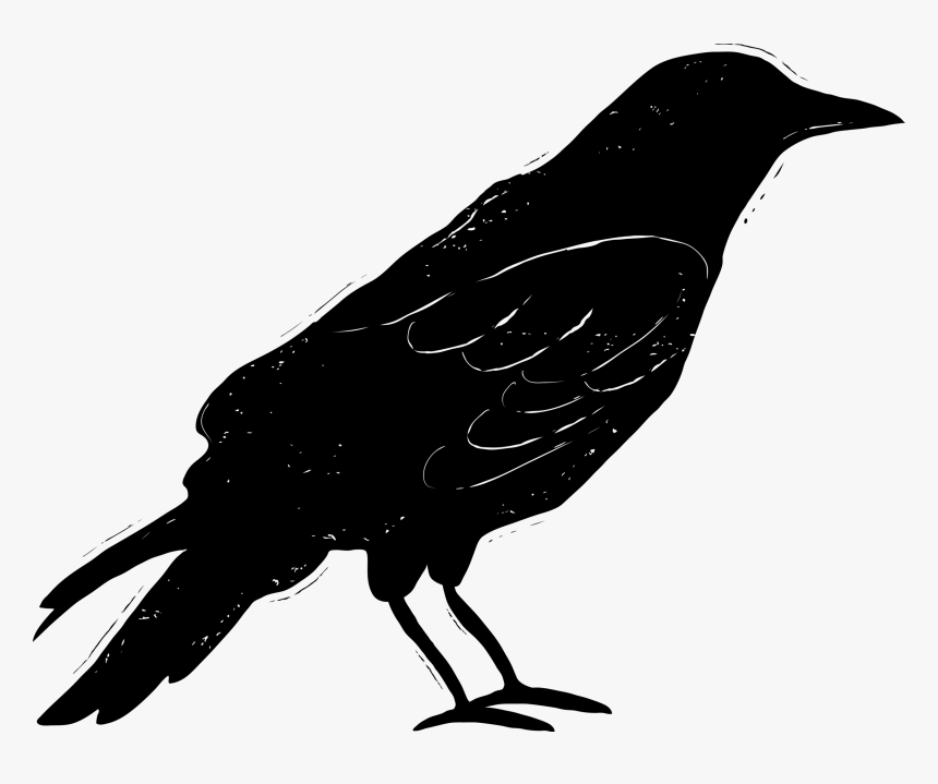 A Newsletter-type Of Thing, HD Png Download