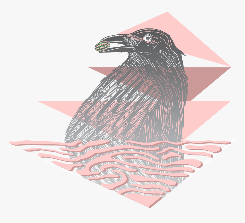 American Crow, HD Png Download