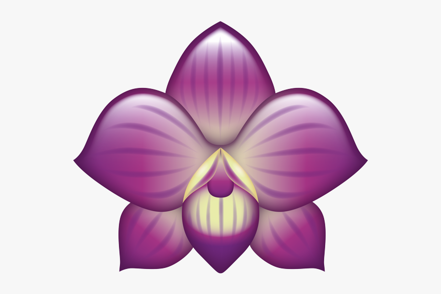 Cattleya, HD Png Download