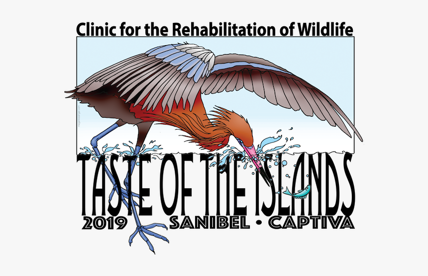 Graphic Design, HD Png Download