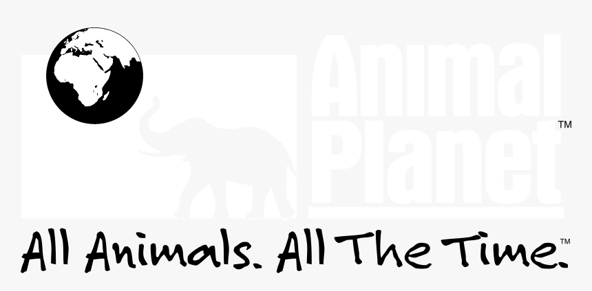 Animal Planet Png - Discovery Channel, Transparent Png