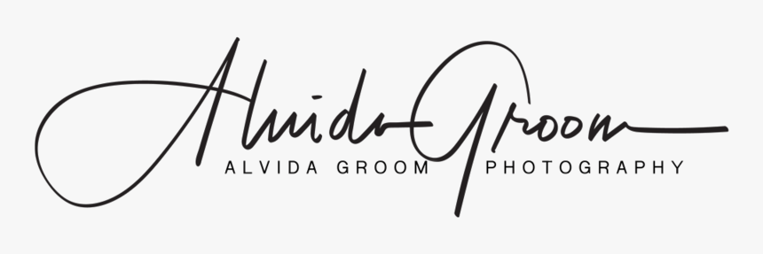 Alvida Groom Photography - Calligraphy, HD Png Download