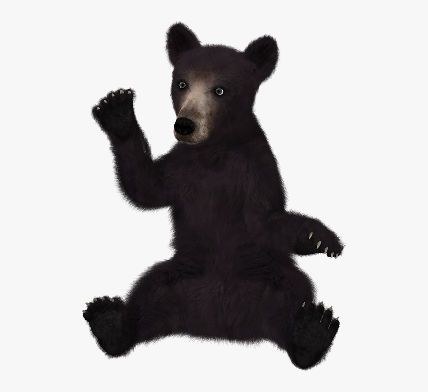 Thumb Image - Black Bear Clipart Transparent Background, HD Png Download