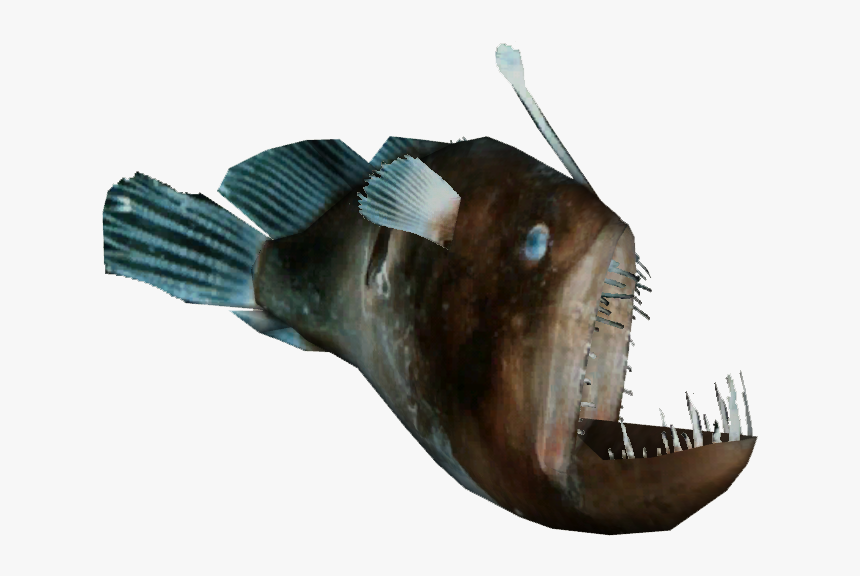 Anglerfish , Png Download - Zoo Tycoon 2 Anglerfish, Transparent Png
