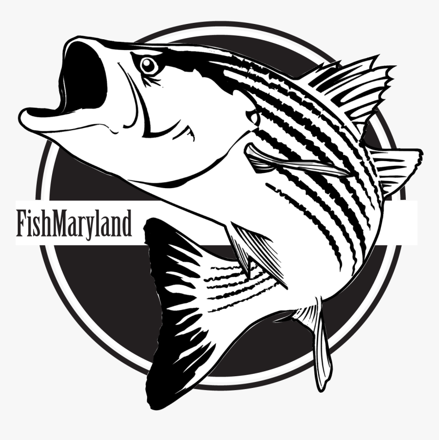 Better When You Were Dead, HD Png Download