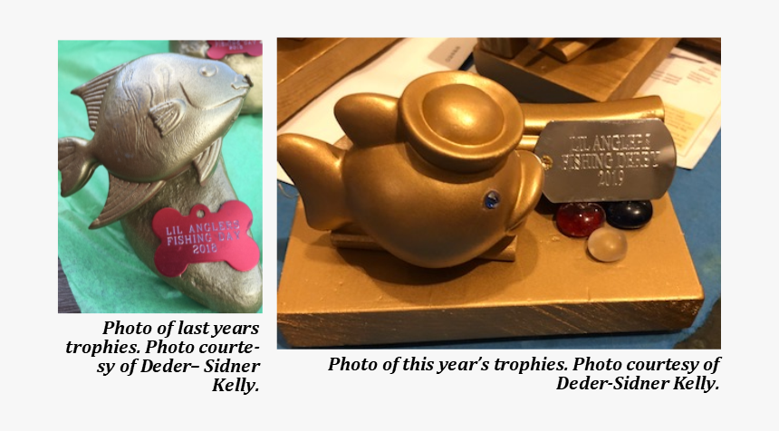 Manatee, HD Png Download