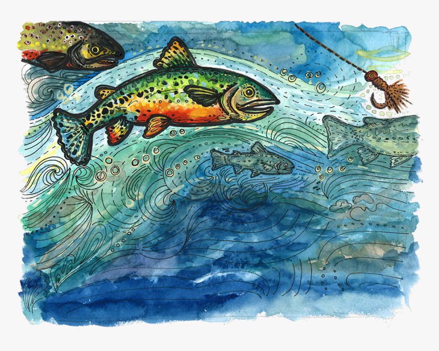 Trout, HD Png Download