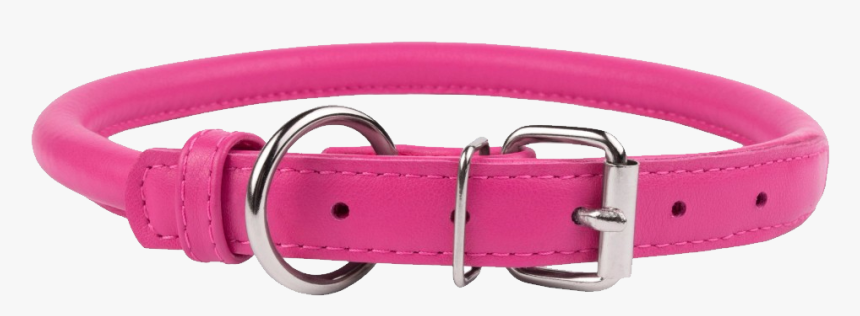 Dog Collar Png - Dog Collar Transparent Background, Png Download