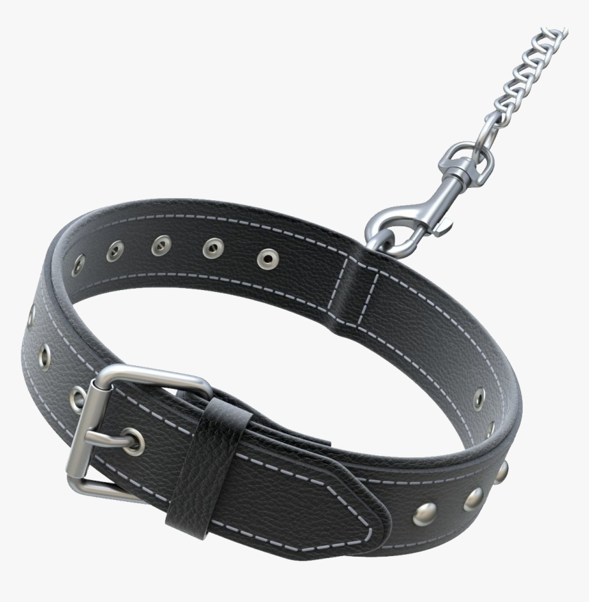 Dog Collar Png - Dog Collar 3d Model, Transparent Png