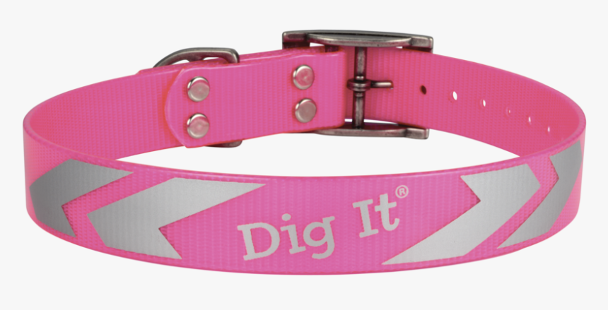 Pk18gycbn Back - Buckle, HD Png Download