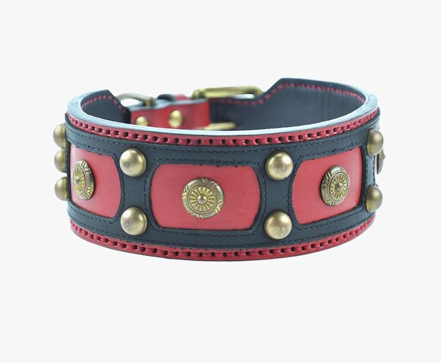 Dog Collar Transparent Background Png - Dog, Png Download