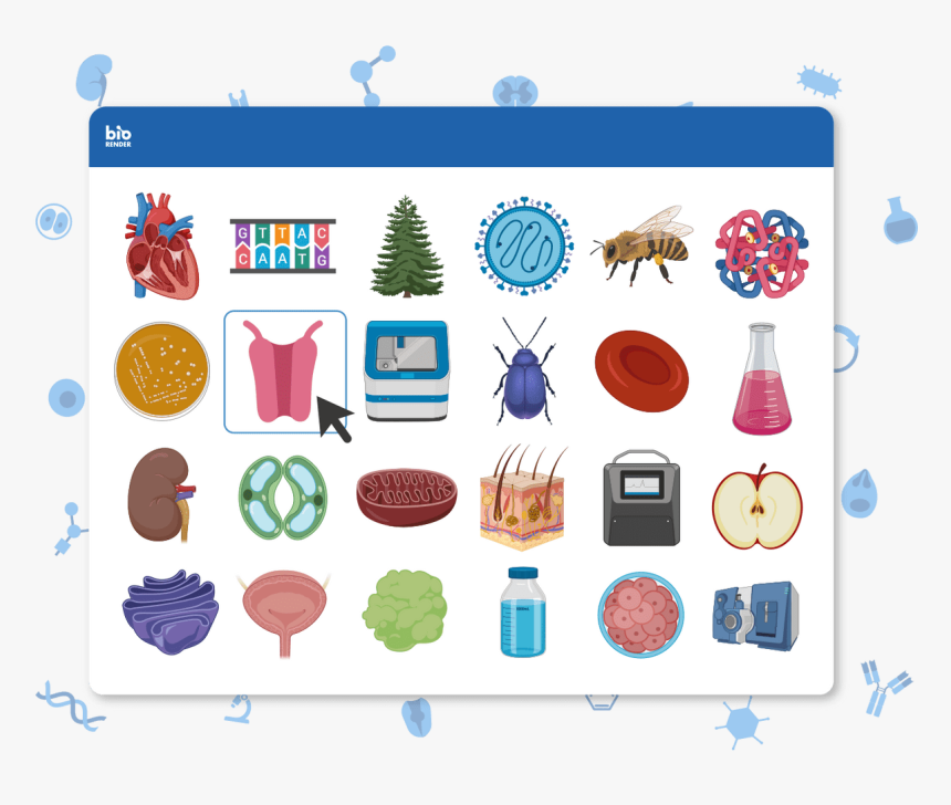 Biology Science Drawing, HD Png Download