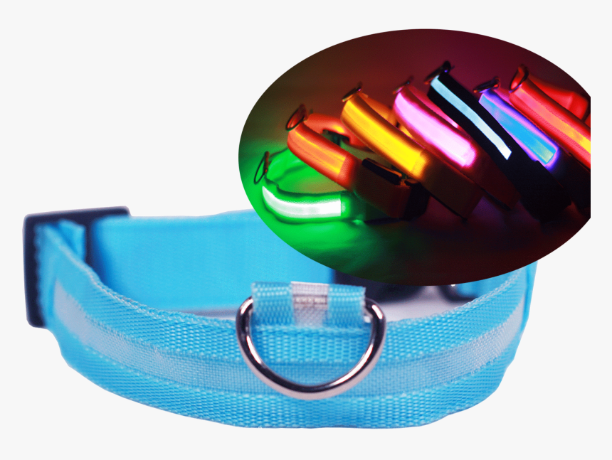 Dog Collar, HD Png Download , Transparent Png Image - PNGitem