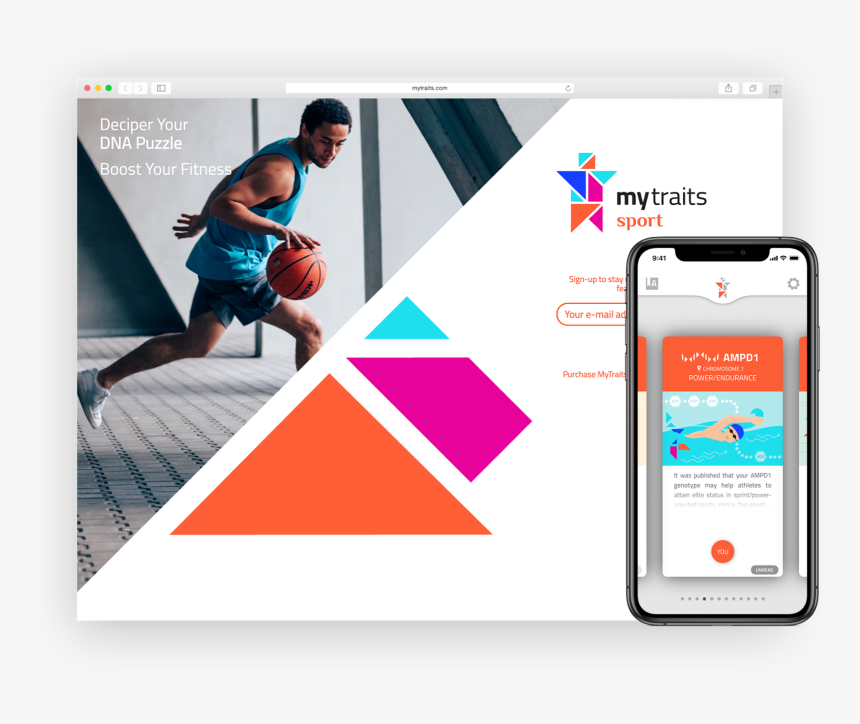 Basketball Moves, HD Png Download