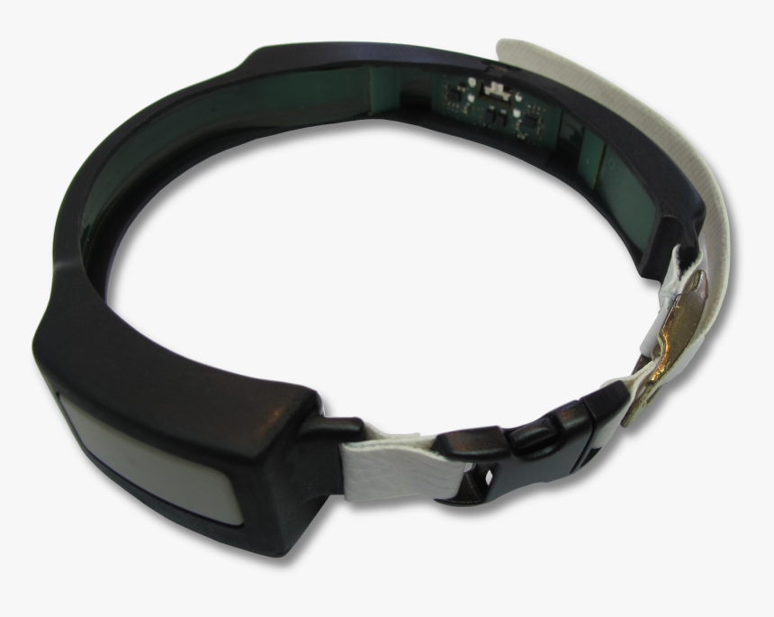 Strap, HD Png Download