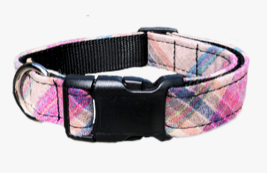 Wool Dog Alsea - Belt, HD Png Download