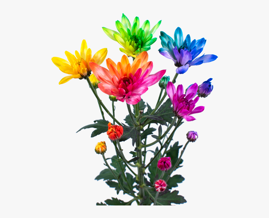 Rainbow Lollipop Png, Transparent Png